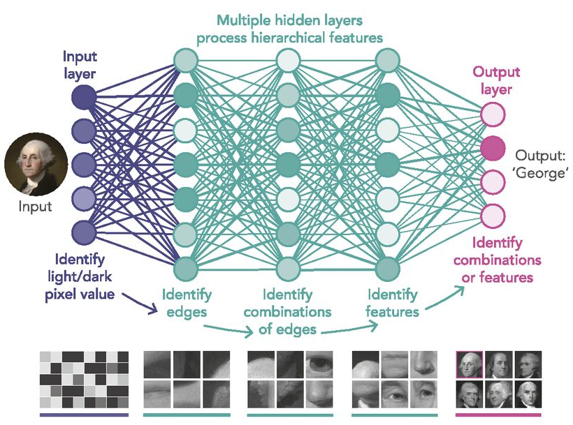 **Illustration of the hierarchical nature of deep learning.** Directly
mapping an image (a collection of three $$N\times M$$ arrays with
real-valued numbers for the red, blue and green intensity at every
pixel) to its class is a complicated function. Deep learning can
surmount this problem by learning a series of nested simple mappings
which can be composed to perform powerful inferences
<a class="citation" href="#zeiler2014visualizing">[30]</a>. This image has been reproduced from
<a class="citation" href="#waldrop2019news">[31]</a>.