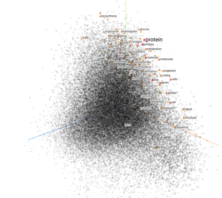 Embedding space around the word 'protein'