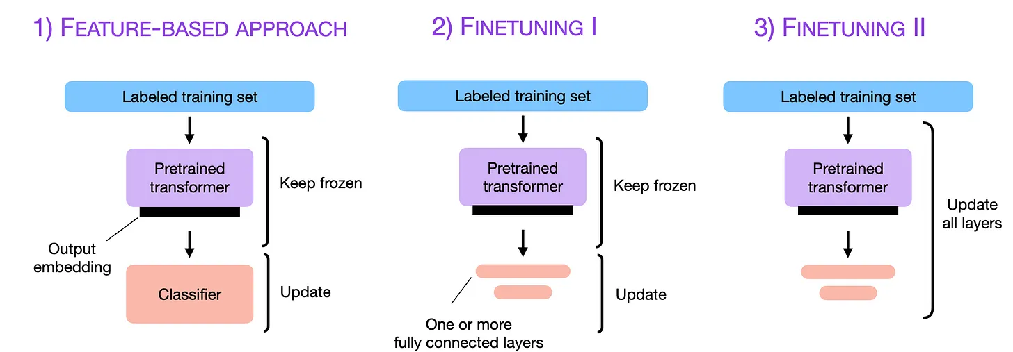 Fine-tuning a protein language model