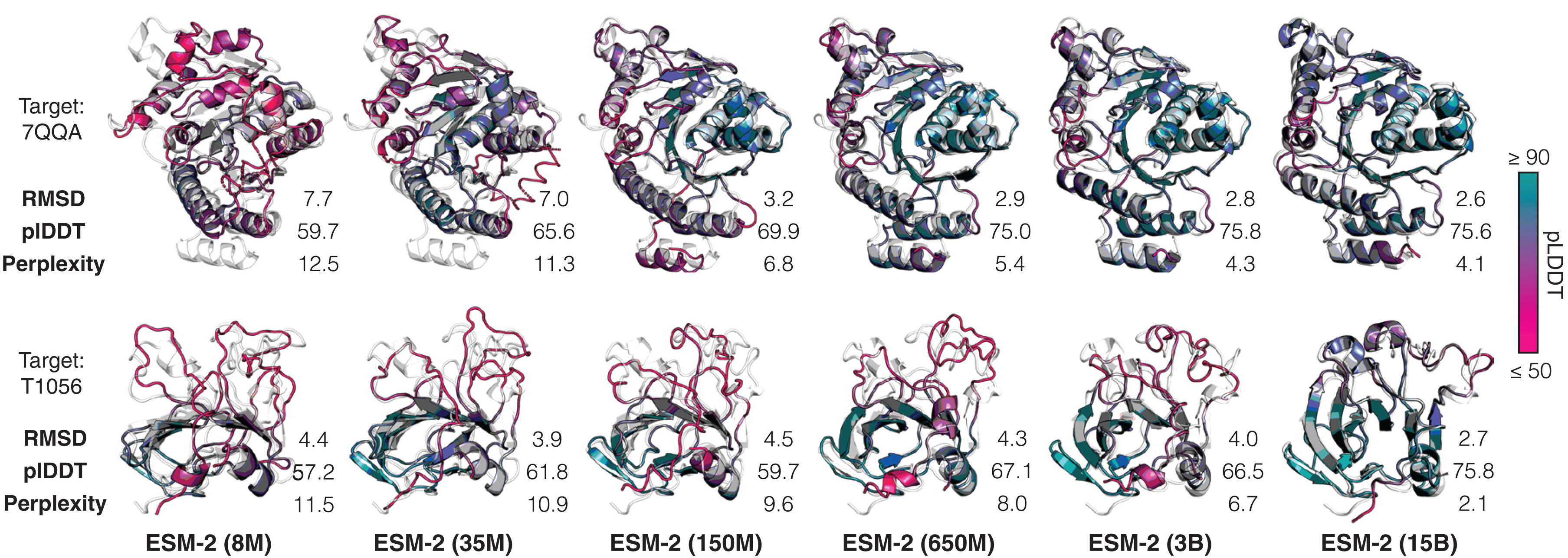 Protein language models used for structure prediction